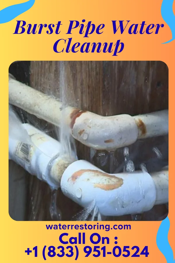 Burst Pipe Water Cleanup in Egypt, PA