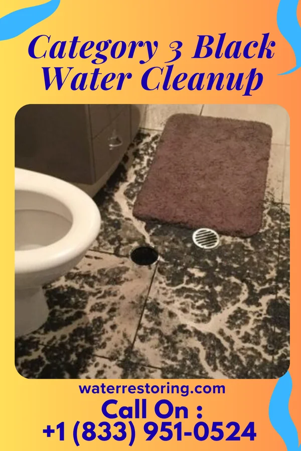 Category 3 Black Water Cleanup in Egypt, PA