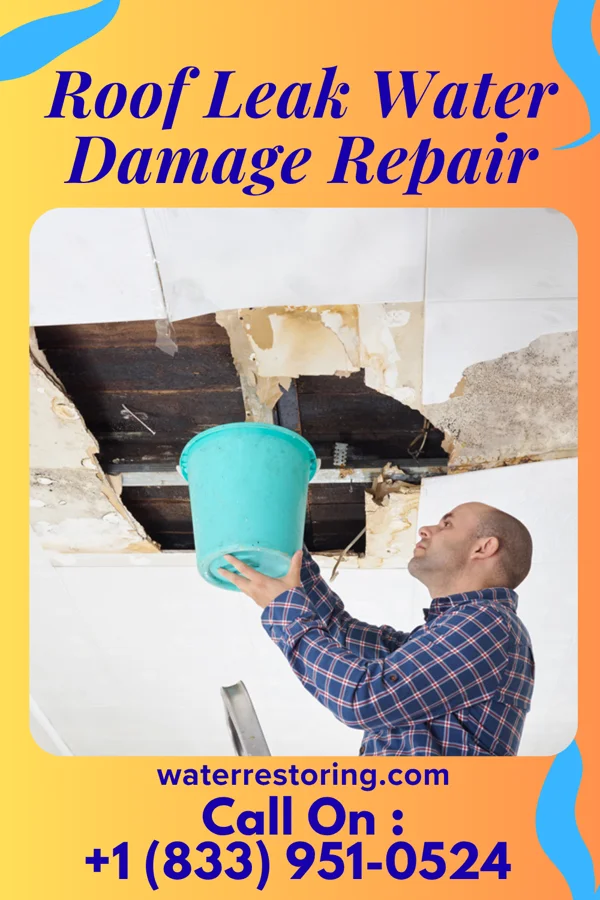 Roof Leak Water Damage Repair in Egypt, PA