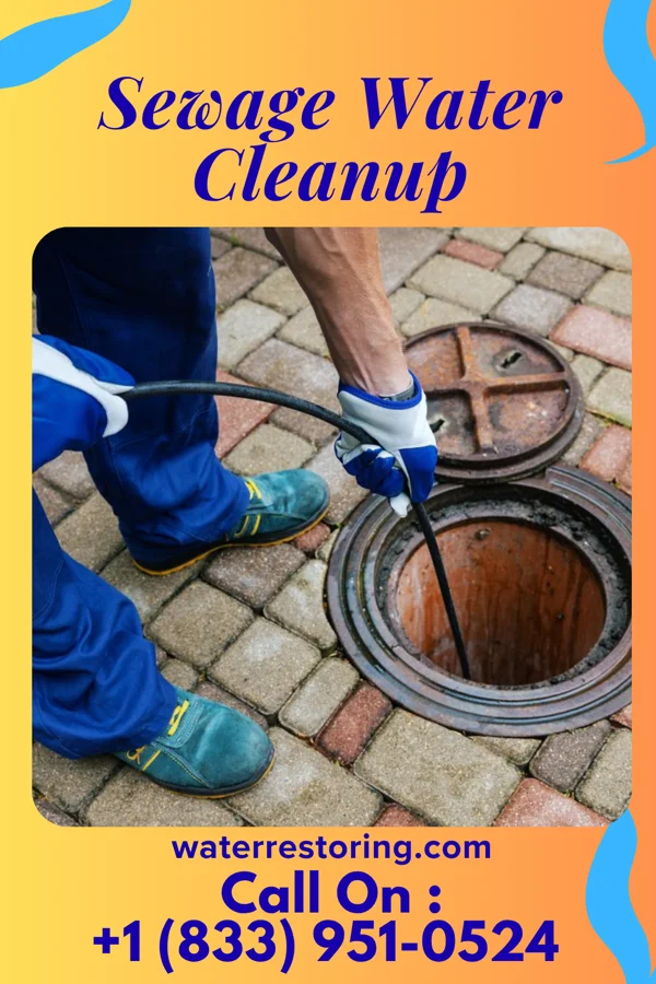 Sewage Water Cleanup in Egypt, PA